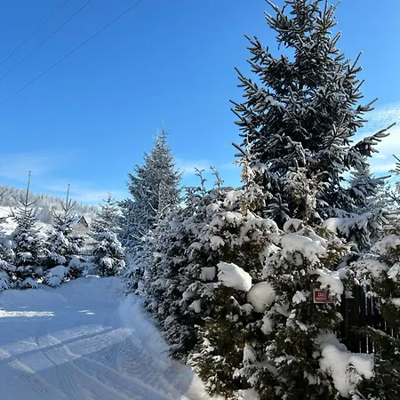 W Borze Проживание в семье