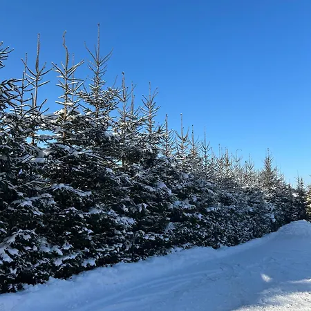 W Borze * Чарна-Гура