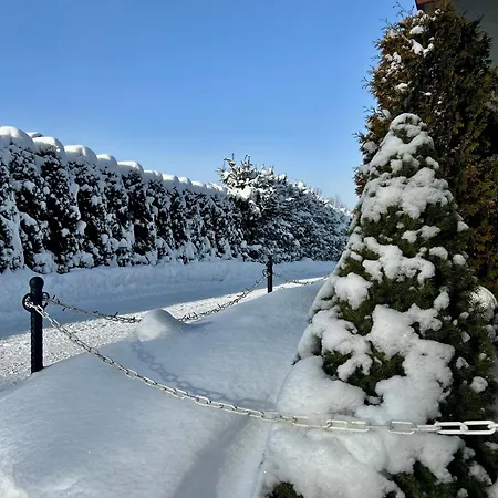 W Borze Проживание в семье