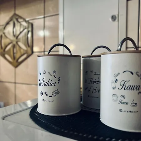 W Borze Проживание в семье *