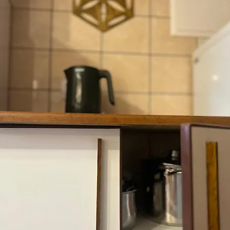 Проживание в семье W Borze