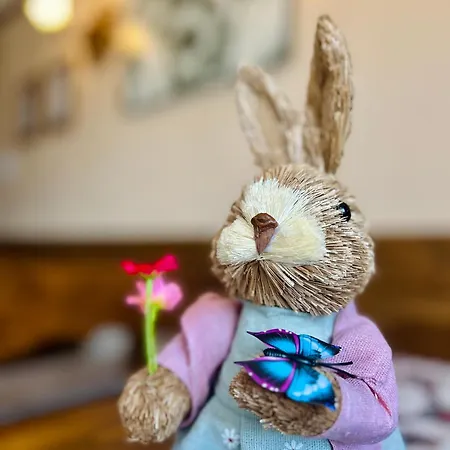 Проживание в семье W Borze Чарна-Гура