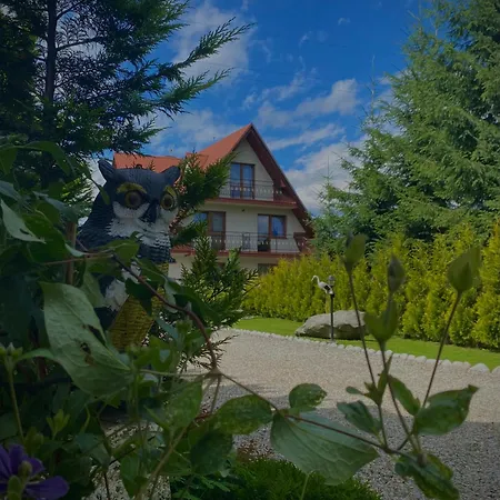 Проживание в семье W Borze *