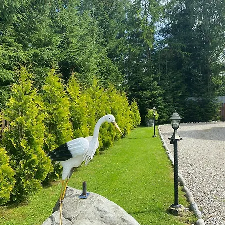 W Borze Чарна-Гура