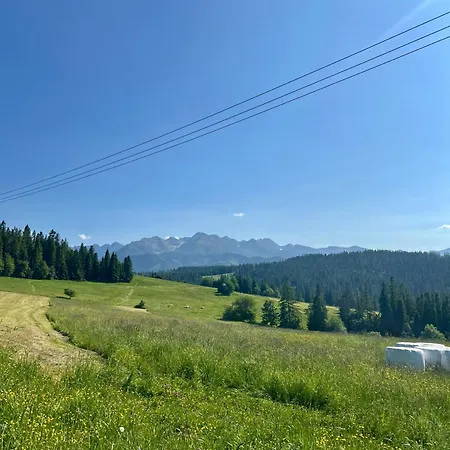 Проживание в семье W Borze *