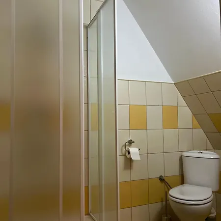 Проживание в семье W Borze *