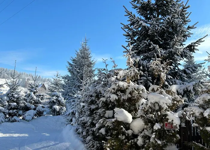 W Borze Проживание в семье