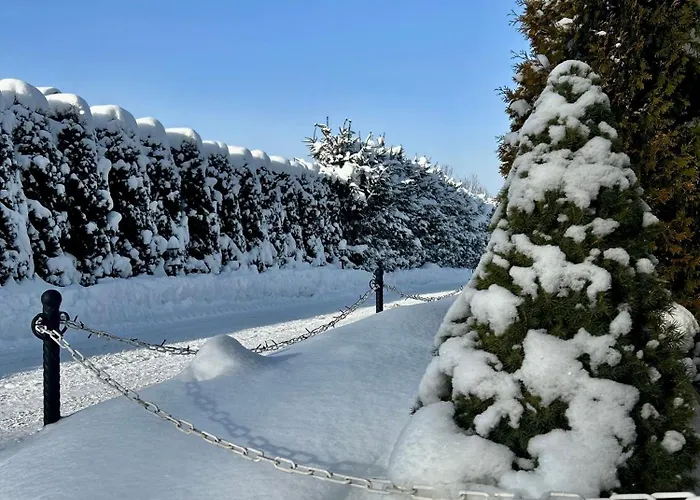 W Borze Ubytování v soukromí