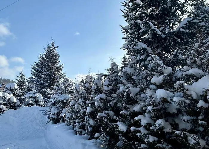 Alloggio in famiglia W Borze *