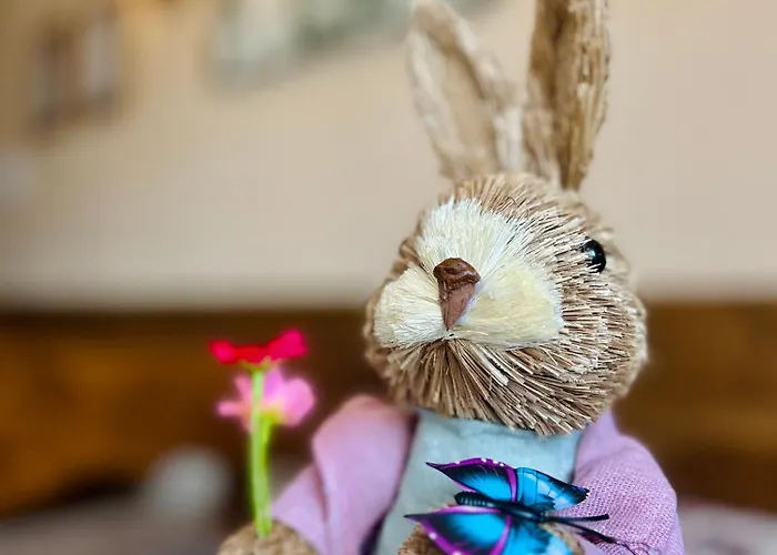 Ubytování v soukromí W Borze Czarna Góra