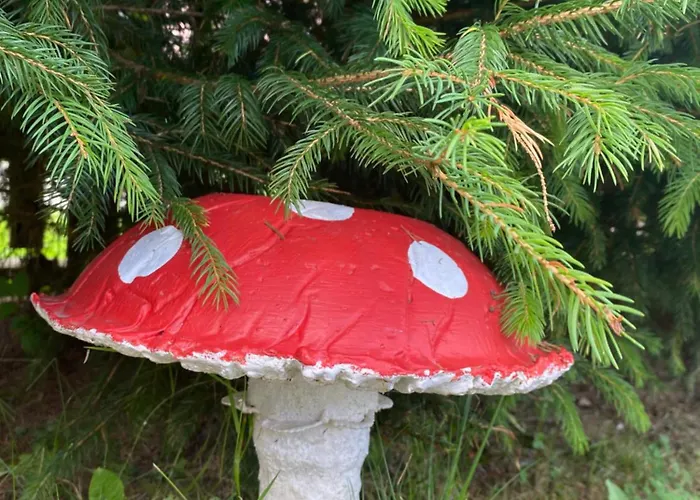 Ubytování v soukromí W Borze