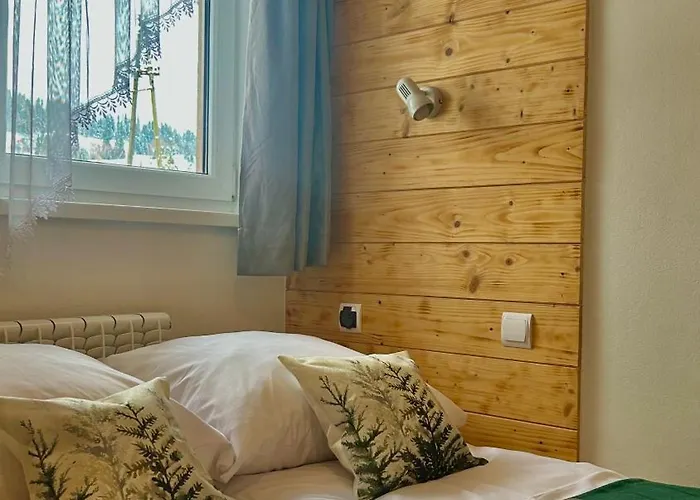 Ubytování v soukromí W Borze Czarna Góra